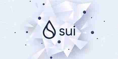 SUI币会成为百倍币吗？